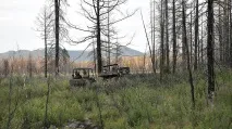 физическата физическата