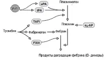 Гемостаз привагітності гемостазу