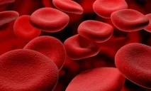 Геморагічний васкуліт у дітей та дорослих, лікування та симптоми васкуліт
