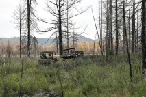 физическата владимир