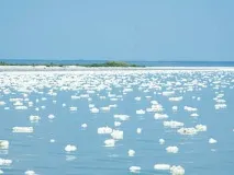 лечебна Азовско море