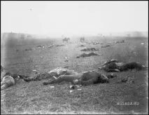 Фотографії, які змінили світ його