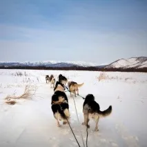 защо станало