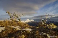 mount mount