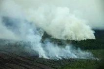 торфени блата торфени блата