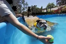 водни водни