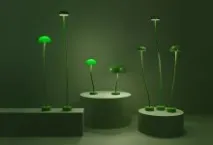 дизайн ремонт