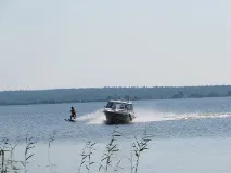 Головна сторінка - Візит до Кіжі Кіжі