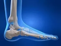 анатомия симптоми лечение