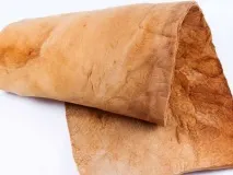 гъби гъби