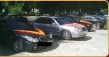 Кабріолет Chrysler Sebring - Каталог весільних машин, FREE sebring