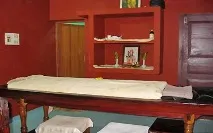Vasthi Kashaya индиго