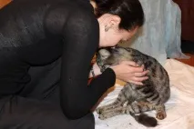 макс котката