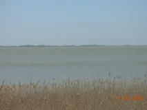 Іловая сульфідна Єйська лікувальна бруд сульфідна