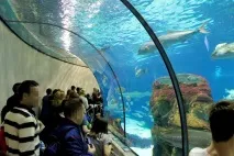 Барселонета Барселонета