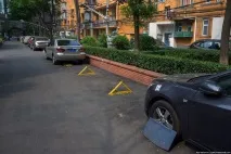 кучета автомобилните