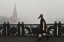 торфът много