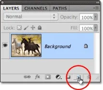 design photoshop