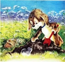 забогатея купя намерим