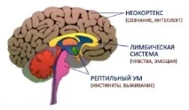 стрес