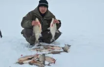Як зловити ляща у лютому ляща