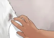 дома дома