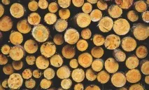 Як зробити меню ресторану української кухні, Кон’юнктура на ресторану