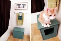 Як сховати котячий лоток поради таідеї у фото котячий