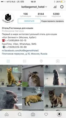 Як зробити кнопку зв’язатися в інстаграм язатися