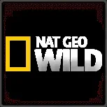 Канал Ю дивитись онлайн прямий ефір безкоштовно у високій якості ефір