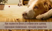 признаци признаци