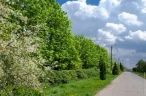 Як виглядає українське село немає