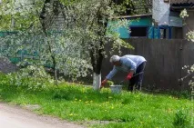 Як виглядає українське село немає