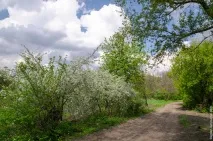 Як виглядає українське село село