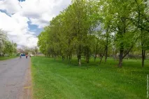 Як виглядає українське село село