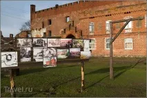 зеленоградськ