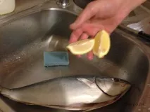 печем рибата фурната