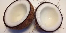 Кокос користь та шкода шкода
