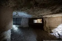 тези животни знаех много