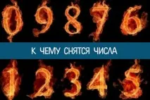 защо защо