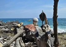 Кітобої, ФОТО НОВИНИ море