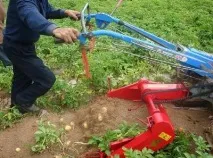 Картоплекопалка до мотоблока МТЗ опис, пристрій та відгуки обладнання