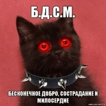 котки котки
