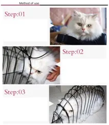 измиване котки