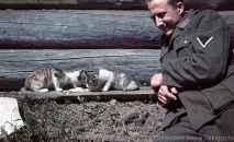 Коти та солдати, Gorillas Community коти