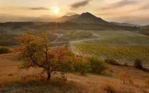 Коньяк Коктебель історія, опис, відгуки опис