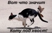вони