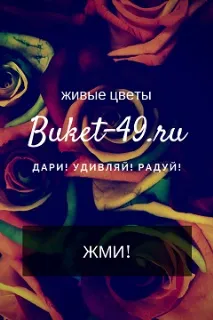 Кіт-інвалід навчився ходити на двох правих лапах ходити