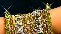 Хто найбагатші люди Індії Міттал