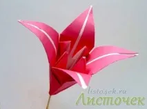 Кусудама, Листя модель
